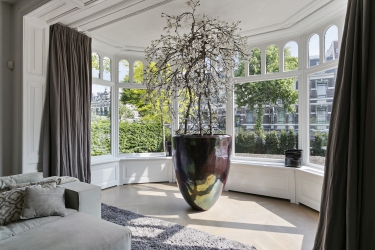 4x het gebruik van ‘planten’ in je woning
