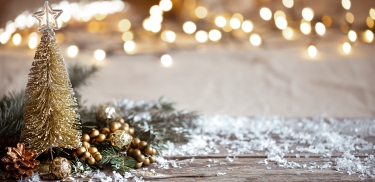 Krijg een kerstboom cadeau! (actie)